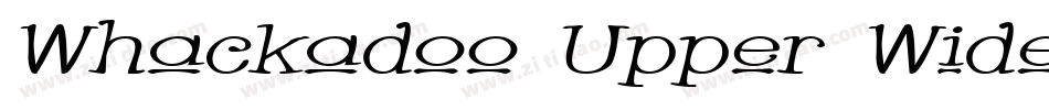 Whackadoo Upper Wide字体转换